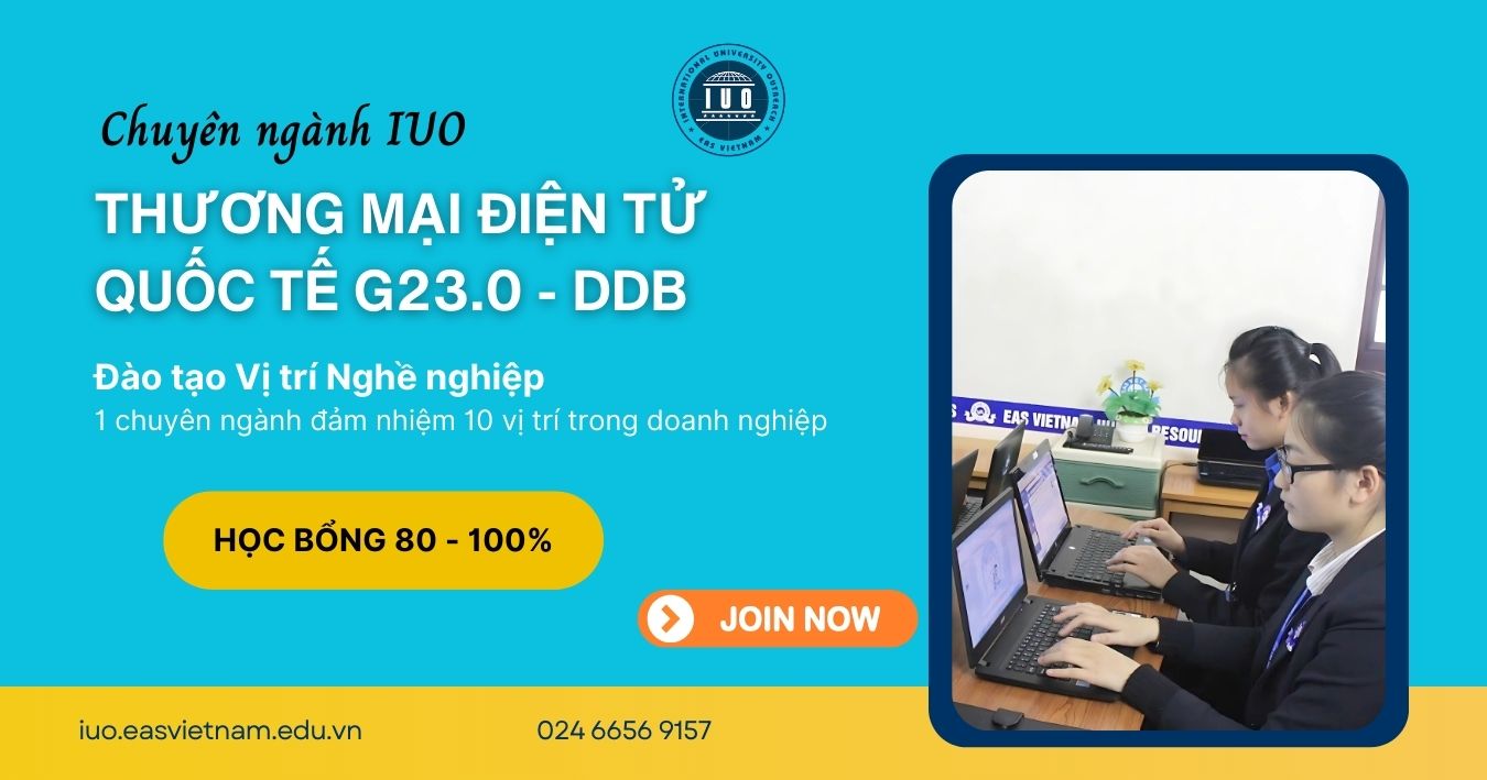 Ddb Thương Mại điện Tử